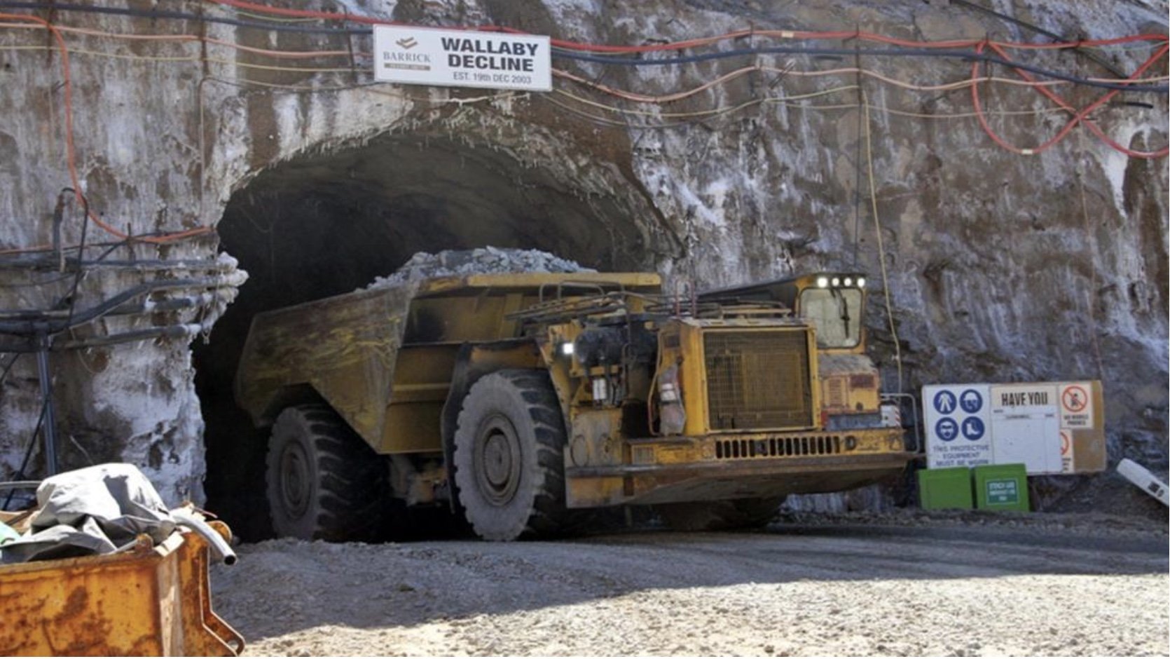Wallaby Evolution GSWA’s big geochemistry projects challenge the paradigms of greenstone ...