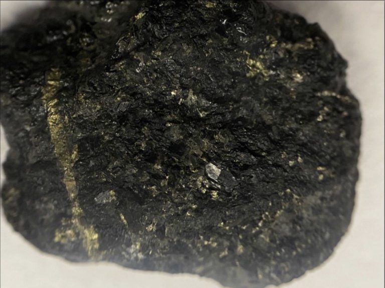 Could the western Tanami host a new Ni-Cu-PGE province?