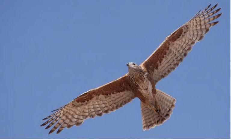 Work begins towards a national ESG risk map for the mining industry