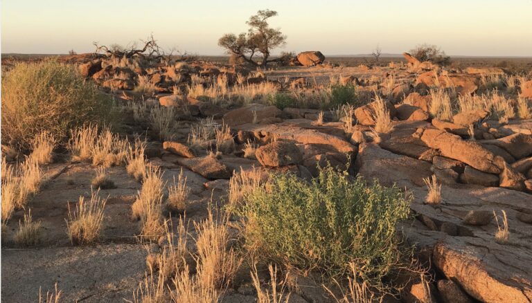 GSWA further reduces the search space for major gold discovery in the Yilgarn