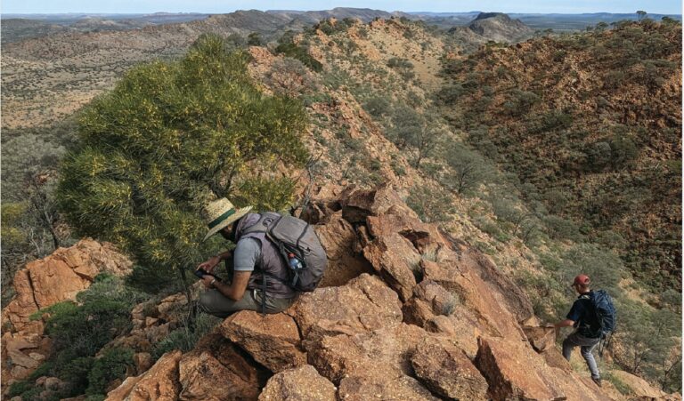 NTGS activity supports new models for sed-hosted copper in the Amadeus Basin