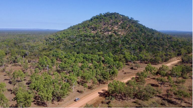 New porphyry Cu potential identified in Georgetown region